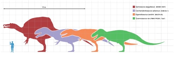 Fig. A.1; escala de teropodes.
