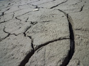 Imagem1