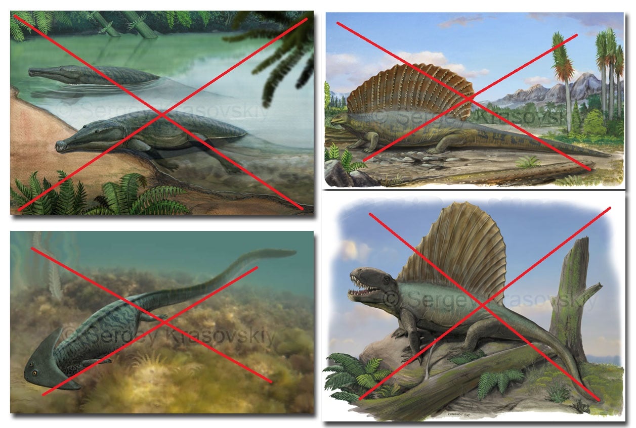 Resultado de imagem para extinção em massa do permiano