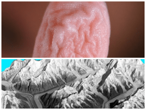 Comparação entre sulcos em geleiras e na ponta dos dedos.