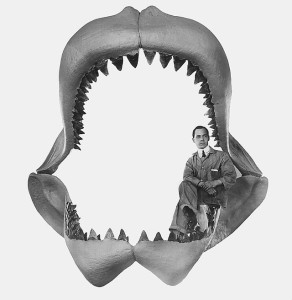Reconstrução da boca do Carcharodon megalodon, feita por Bashford Dean em 1909.