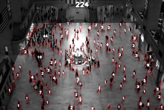 O desenvolvimento de novos softwares possibilitou automatizar muitos métodos de contagem. (Imagem: RYAN et. al., 2015)