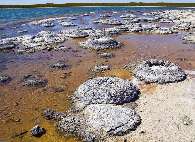 Lake_Thetis-Stromatolites-LaRuth