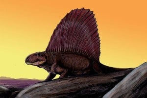 Os Synapsidas como o Dimetrodon, eram vertebrados terrestres comuns no período Permiano. Artista desconhecido.