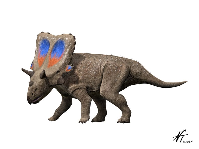 Paleoarte do Mercuriceratops. Créditos: NTamura (deviantART).