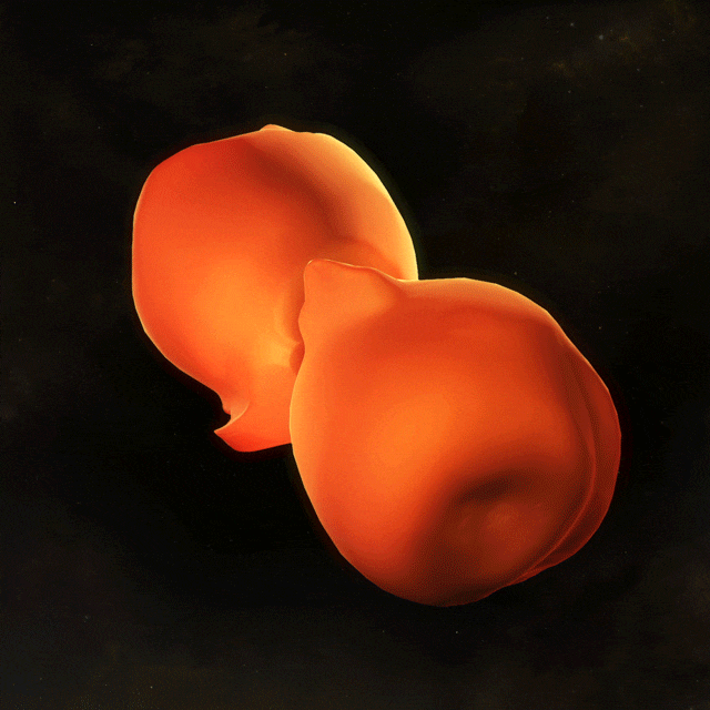 Animação 3-D do modelo da Nebulos do Homúnculo. Crédito: Laboratório de Imagem Conceitual da NASA Goddard. 