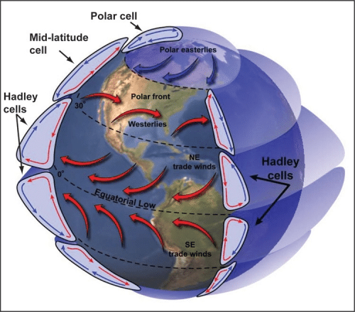 Uma Célula de Hadley é criada quando o ar quente sobe no equador e move-se para os pólos. O ar esfria e volta para o equador. Crédito: Lyndon State College Atmospheric Sciences.