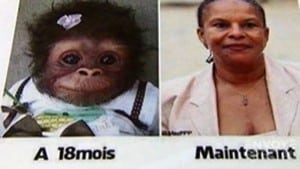 france-facebook-insult-monkey